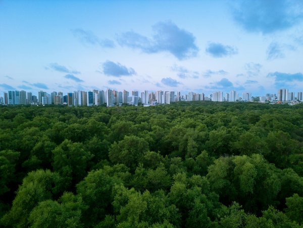 Les Mangas Incontournables pour Nouveaux Lecteurs