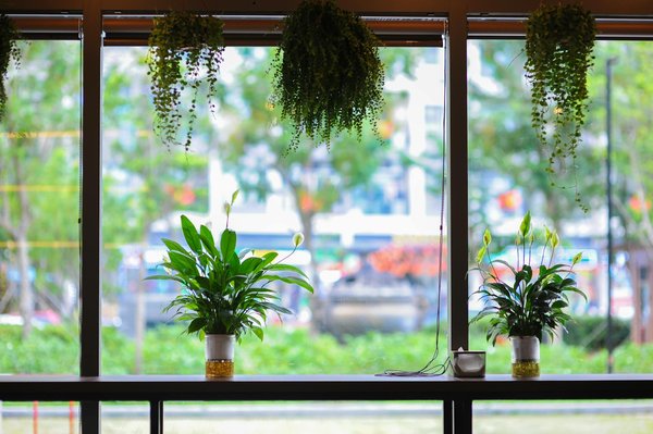 Officiant cérémonie laïque : créez une célébration unique et personnalisée