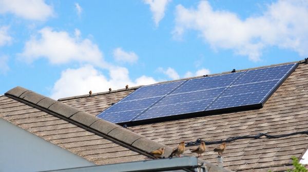 Pourquoi choisir des panneaux solaires photovoltaïques pour votre autonomie énergétique